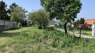  Land in Bad Deutsch-Altenburg, Austria No. 41721