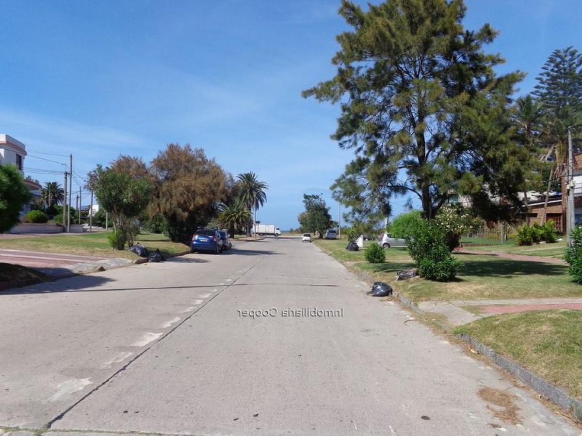 3 bedrooms House in Montevideo, Uruguay No. 5390