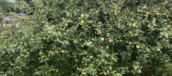 Terrain à Gera, Germany No. 258586 8