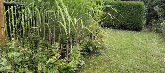 Terrain à Gera, Germany No. 258586 6