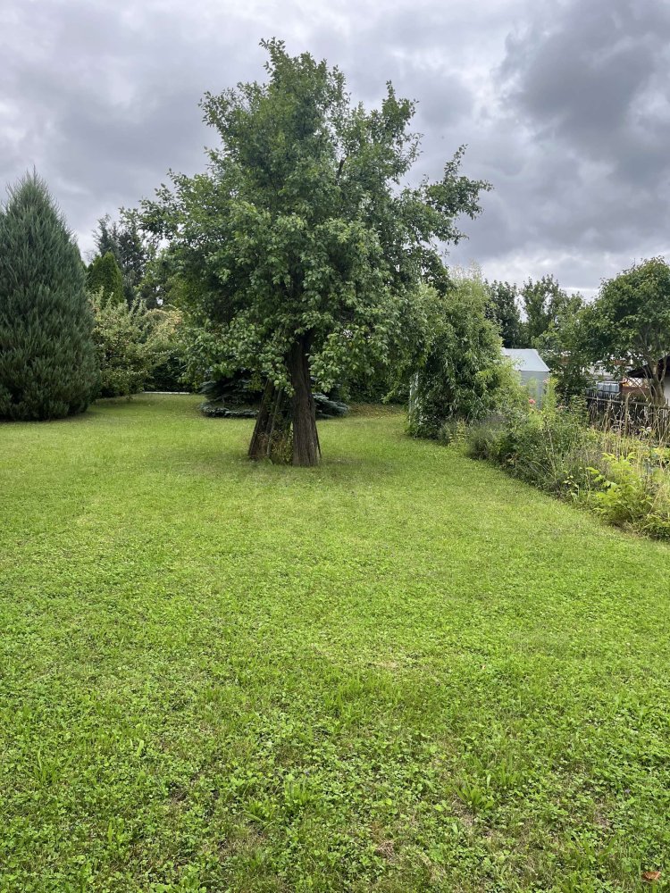 Terrain à Gera, Germany No. 258586