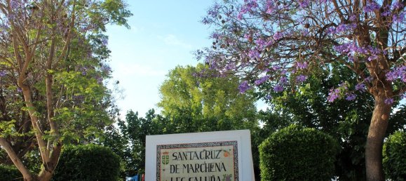 440m² Building in Almeria, Spain No. 160762 22