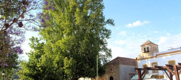 440m² Building in Almeria, Spain No. 160762 24