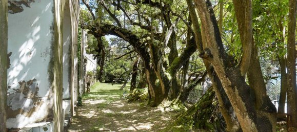 15 bedrooms Castles in Oeiras, Portugal No. 106050 35