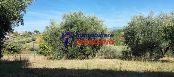 2 bedrooms House in Genzano di Roma, Italy No. 365429 22