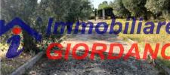 2 bedrooms House in Genzano di Roma, Italy No. 365429 2