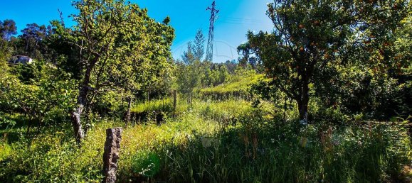 4 غرف نوم منزل في Espadanedo, Portugal رقم 154791 10