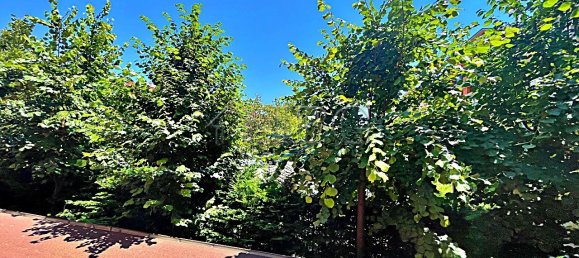 Квартира с 1 спальней в Свети-Влас, Болгария № 1106 15