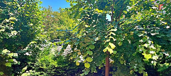 Квартира с 1 спальней в Свети-Влас, Болгария № 1106 18