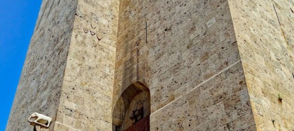 عقار تجاري في Quartu Sant'Elena, Italy 53متر مربع رقم 210534 7