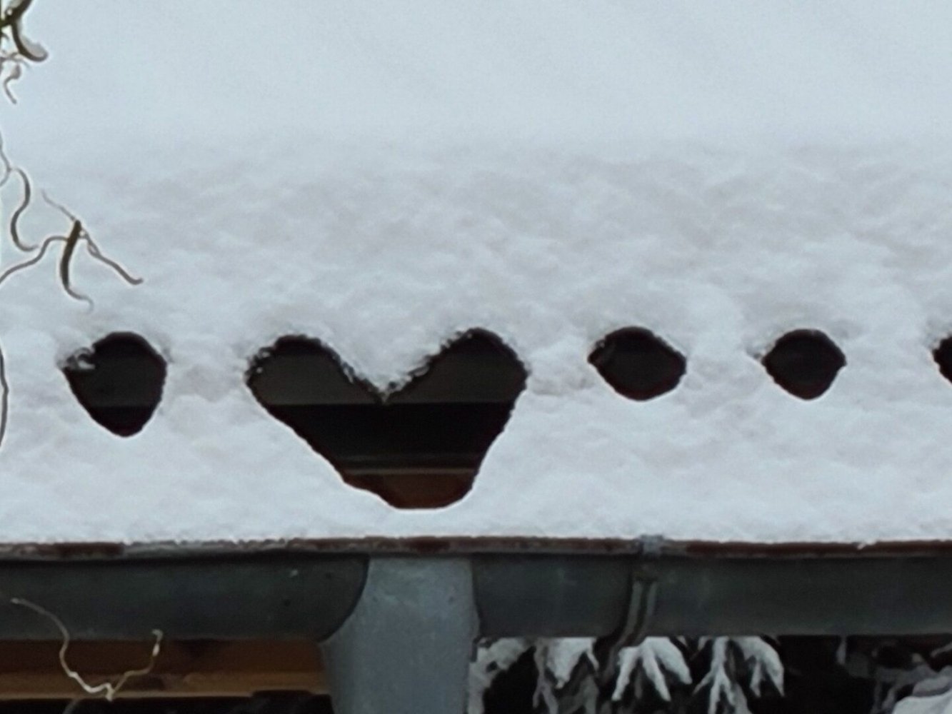 Terrain à Radenthein, Austria No. 91082