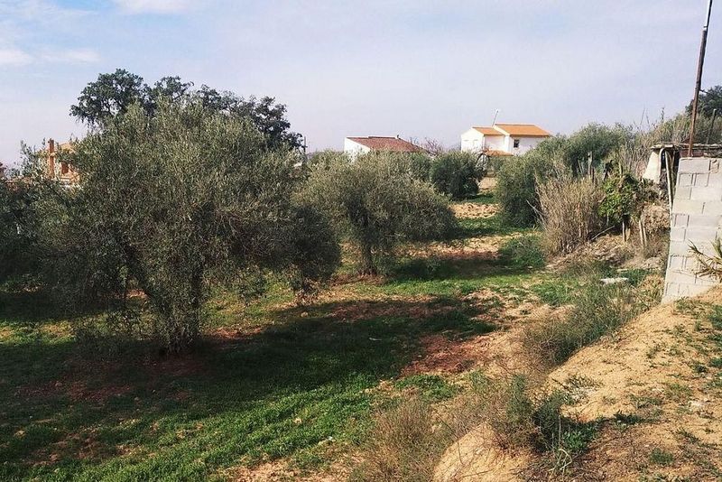 Земельный участок 1289м² в Гуэвехар, Испания № 225915