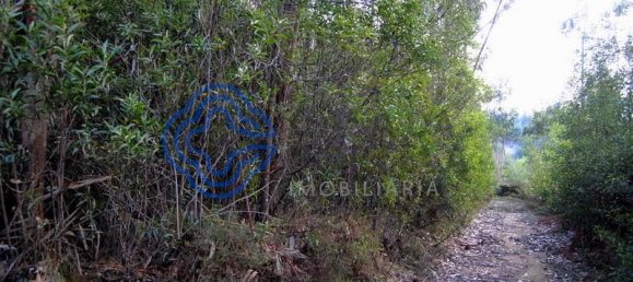 16212m² Land in Vila Nova de Gaia, Portugal No. 47834 11