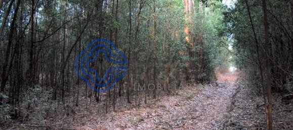 16212m² Land in Vila Nova de Gaia, Portugal No. 47834 3