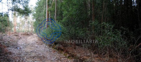 16212m² Land in Vila Nova de Gaia, Portugal No. 47834 13