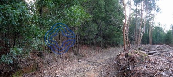 16212m² Land in Vila Nova de Gaia, Portugal No. 47834 14