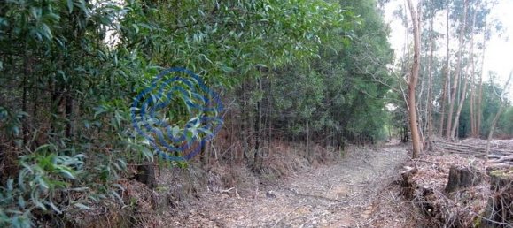 16212m² Land in Vila Nova de Gaia, Portugal No. 47834 16