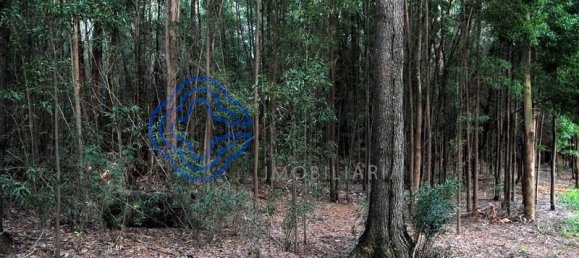 16212m² Land in Vila Nova de Gaia, Portugal No. 47834 5