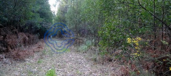 16212m² Land in Vila Nova de Gaia, Portugal No. 47834 17