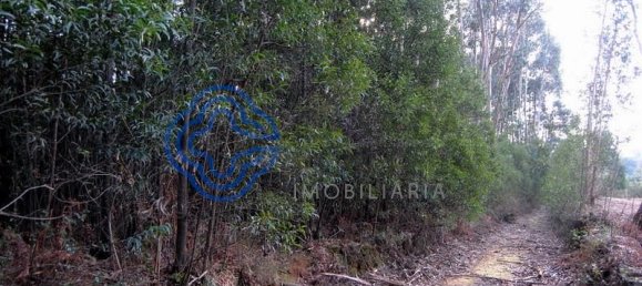 16212m² Land in Vila Nova de Gaia, Portugal No. 47834 12