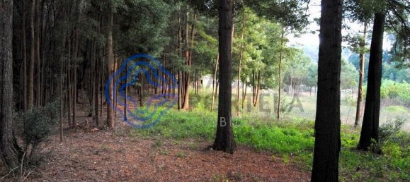 16212m² Land in Vila Nova de Gaia, Portugal No. 47834 6