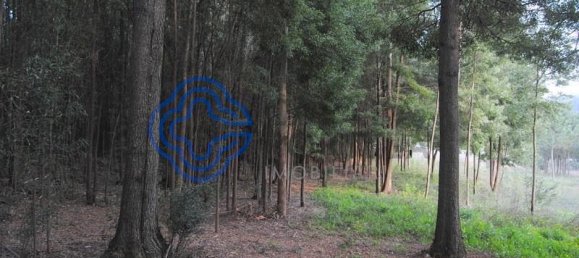 16212m² Land in Vila Nova de Gaia, Portugal No. 47834 4