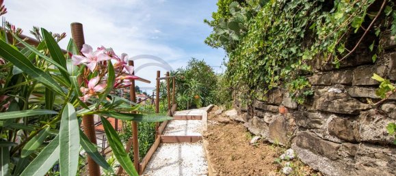 Дом с 4 комнатами в Триест, Италия № 271883 8