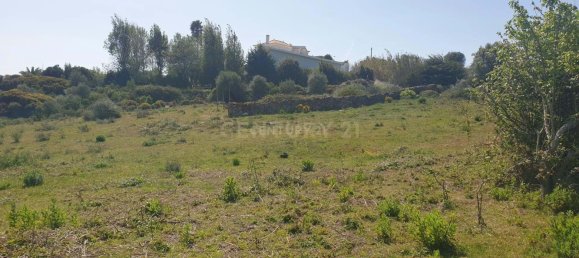 46562m² Land in Mafra, Portugal No. 221377 9