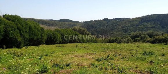 46562m² Land in Mafra, Portugal No. 221377 6