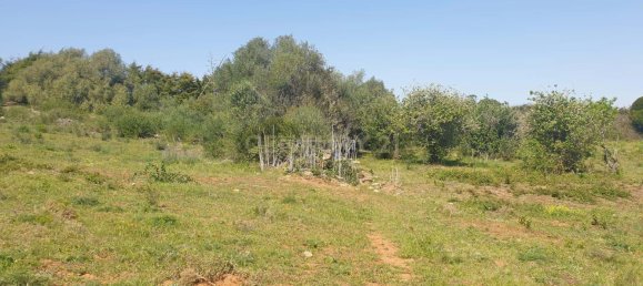 46562m² Land in Mafra, Portugal No. 221377 8