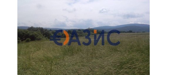 10000m² Land in Varvara, Bulgaria No. 998 9