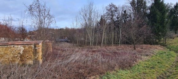  Land in Straden, Austria No. 233377 6