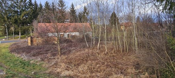  Land in Straden, Austria No. 233377 4