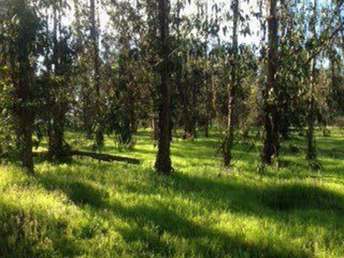 Grundstück in Valparaiso, Chile, Nr. 1113