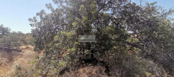236m² Land in Mexilhoeira Grande, Portugal No. 253514 10