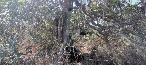 236m² Land in Mexilhoeira Grande, Portugal No. 253514 9