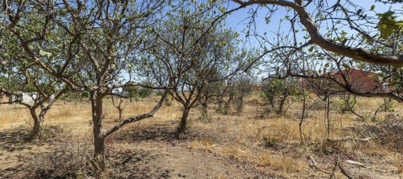  Land in Armacao de Pera, Portugal No. 89405 48