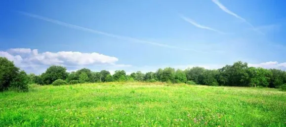 2 غرف نوم منزل في Azay-sur-Cher, France رقم 344097 3