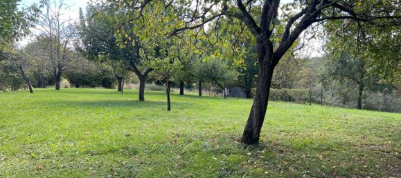 5 bedrooms House in Simorre, France No. 191067 13