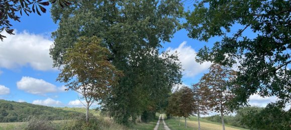 5 bedrooms House in Simorre, France No. 191067 9