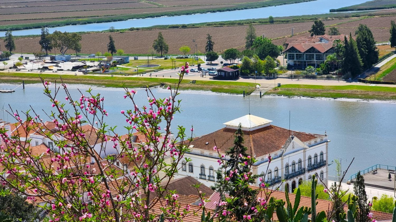 184m² Land in Alcacer do Sal, Portugal No. 262096