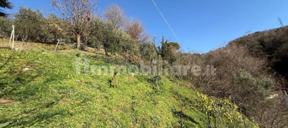 2 chambres Villa à Massa, Italy No. 115984 23