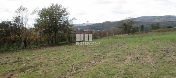 11000m² Land in Marco de Canaveses, Portugal No. 55436 10