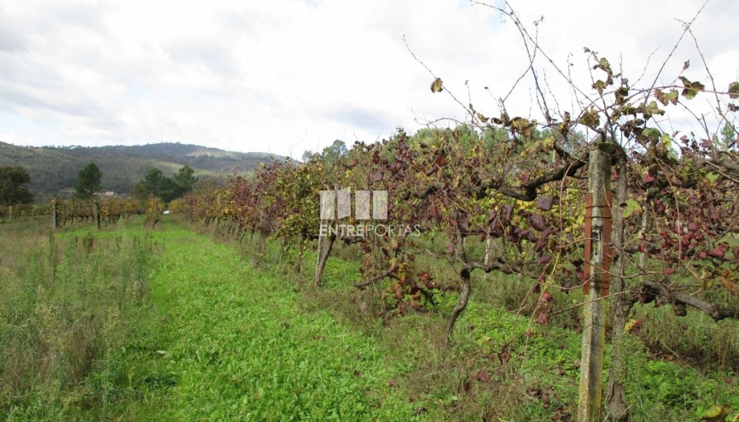 11000m² Land in Marco de Canaveses, Portugal No. 55436