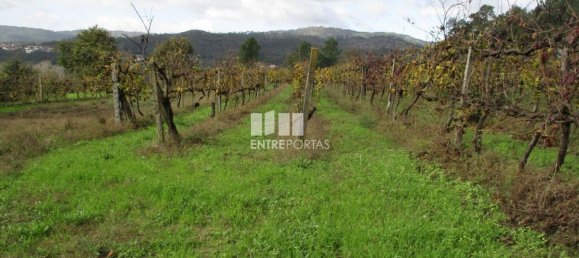 11000m² Land in Marco de Canaveses, Portugal No. 55436 26