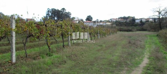 11000m² Land in Marco de Canaveses, Portugal No. 55436 32