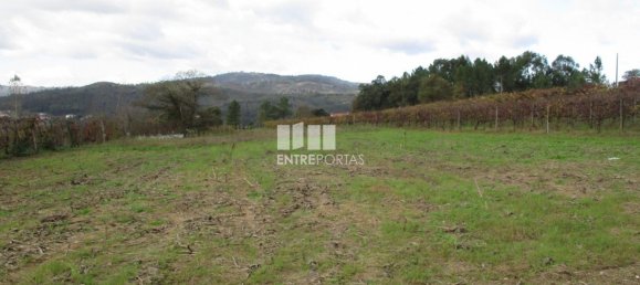 11000m² Land in Marco de Canaveses, Portugal No. 55436 9