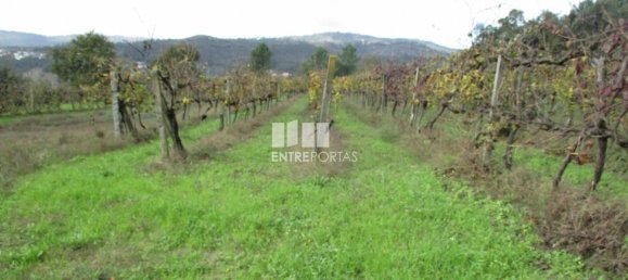 11000m² Land in Marco de Canaveses, Portugal No. 55436 24