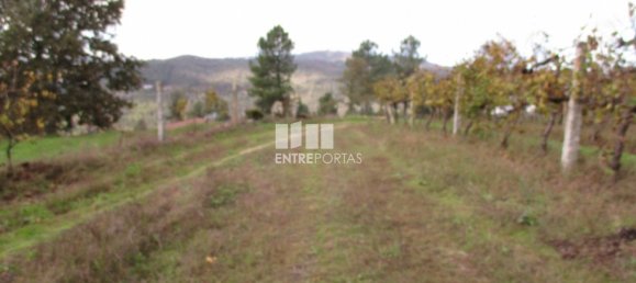 11000m² Land in Marco de Canaveses, Portugal No. 55436 30