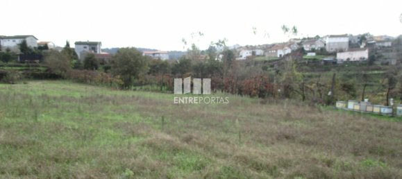 11000m² Land in Marco de Canaveses, Portugal No. 55436 4